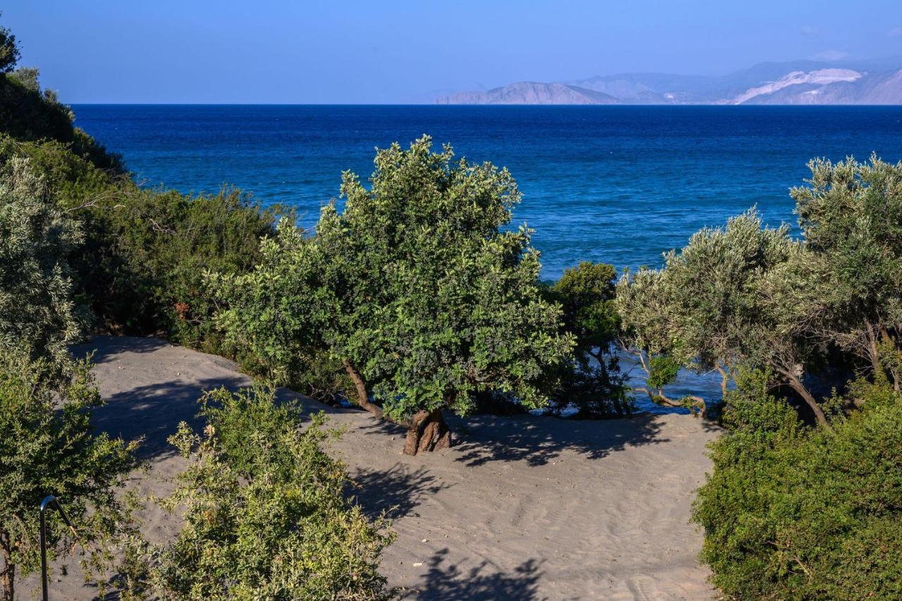 The Island Concept Luxury Boutique Hotel Heated Pool アイオス・ニコラオス エクステリア 写真