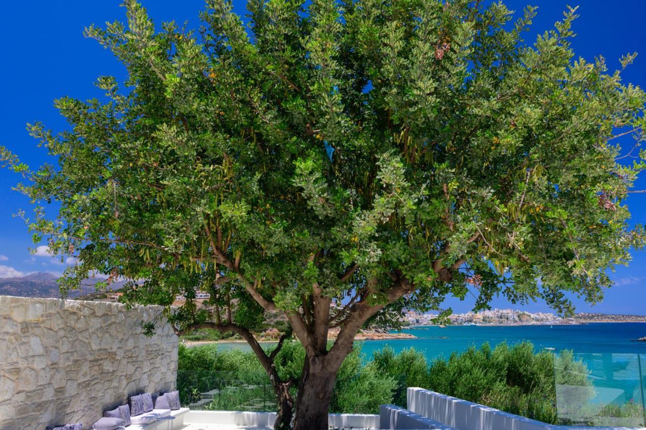 The Island Concept Luxury Boutique Hotel Heated Pool アイオス・ニコラオス エクステリア 写真